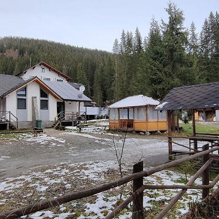 Complex Transalpina Lac Войняса Экстерьер фото