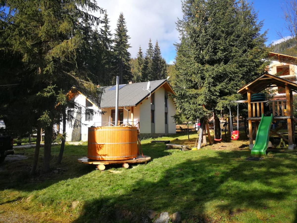 Complex Transalpina Lac Войняса Экстерьер фото