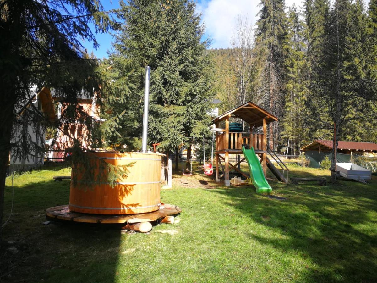 Complex Transalpina Lac Войняса Экстерьер фото