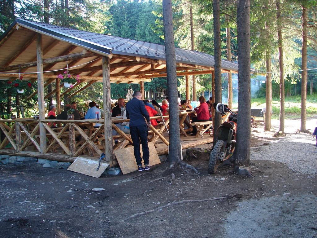 Complex Transalpina Lac Войняса Экстерьер фото