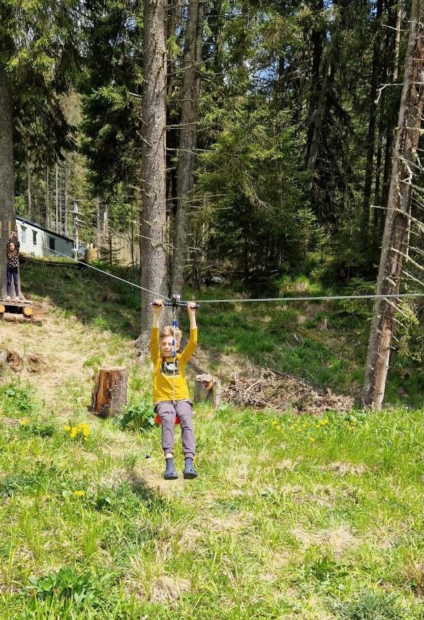 Complex Transalpina Lac Войняса Экстерьер фото