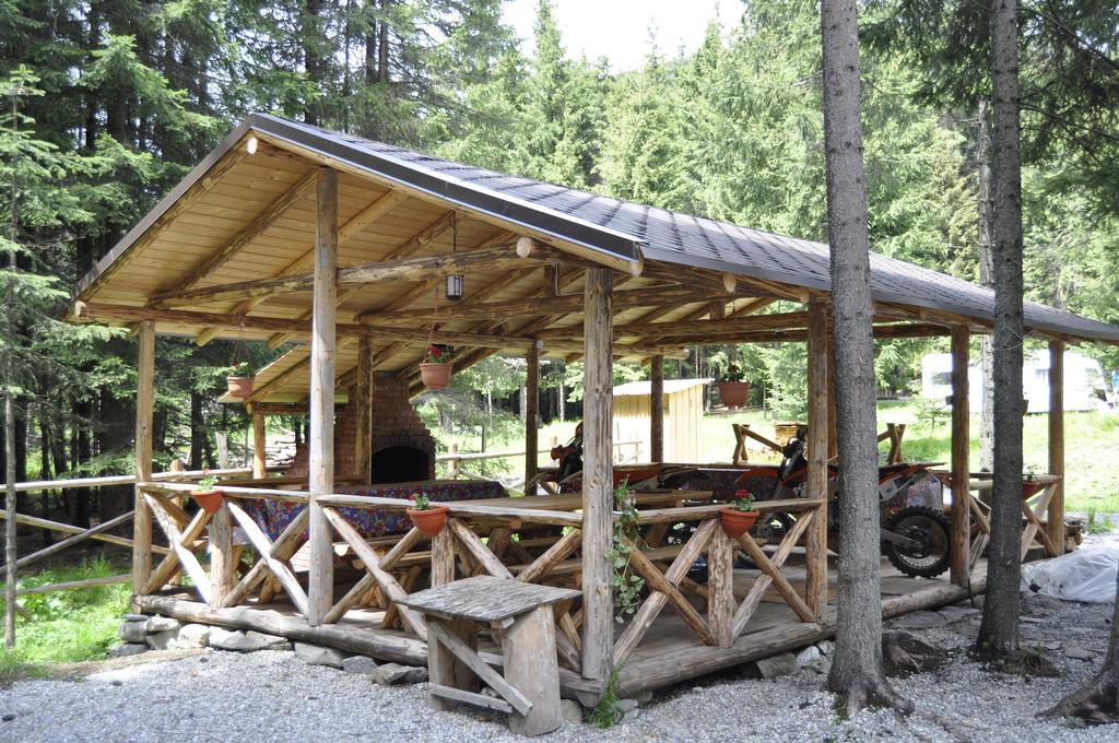 Complex Transalpina Lac Войняса Экстерьер фото