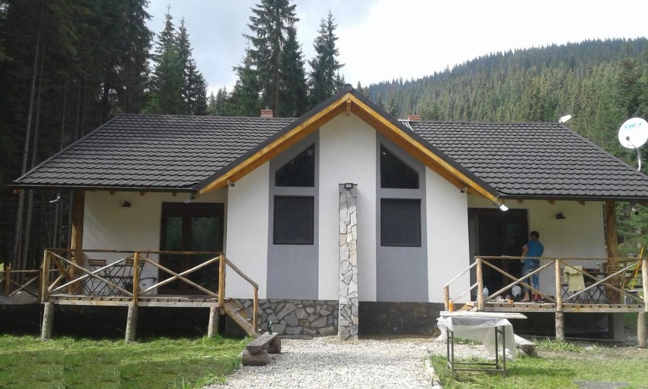 Complex Transalpina Lac Войняса Экстерьер фото