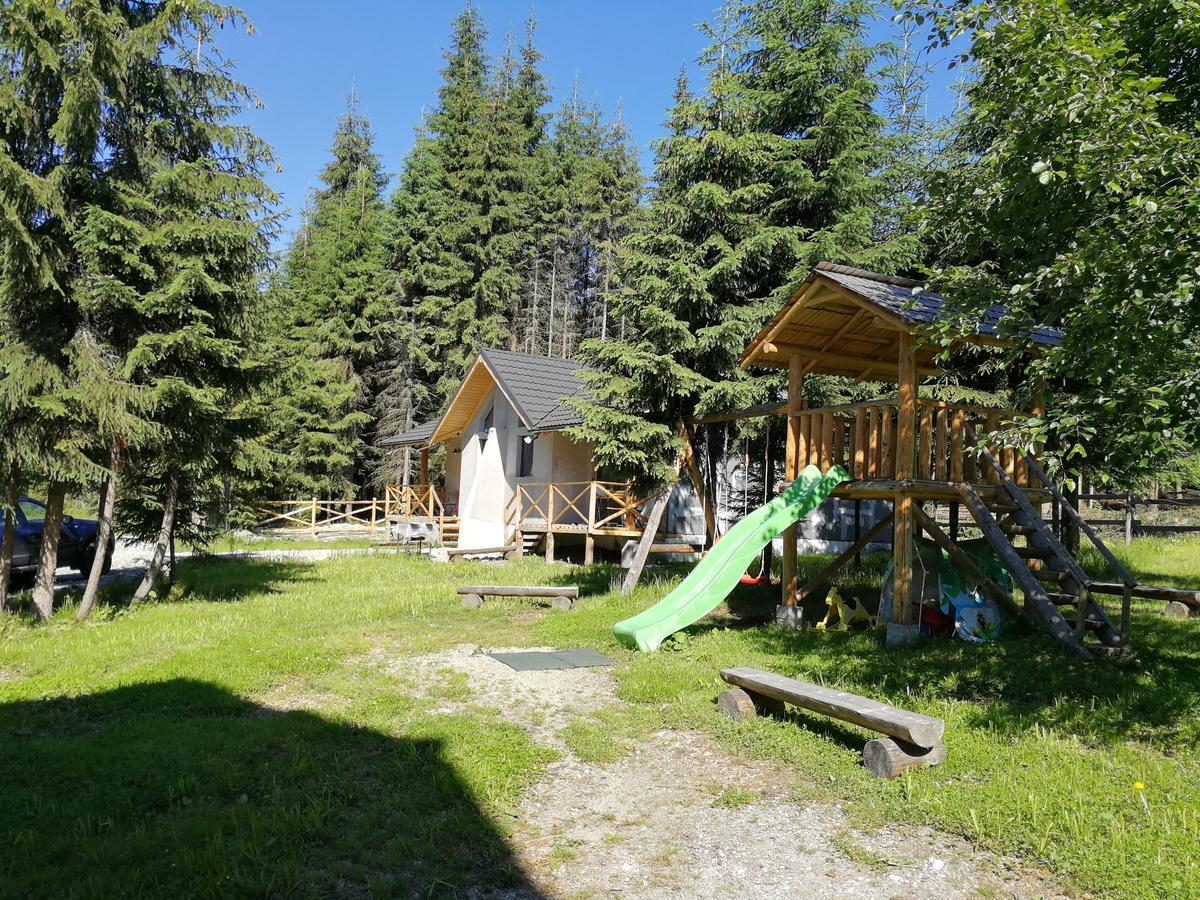 Complex Transalpina Lac Войняса Экстерьер фото